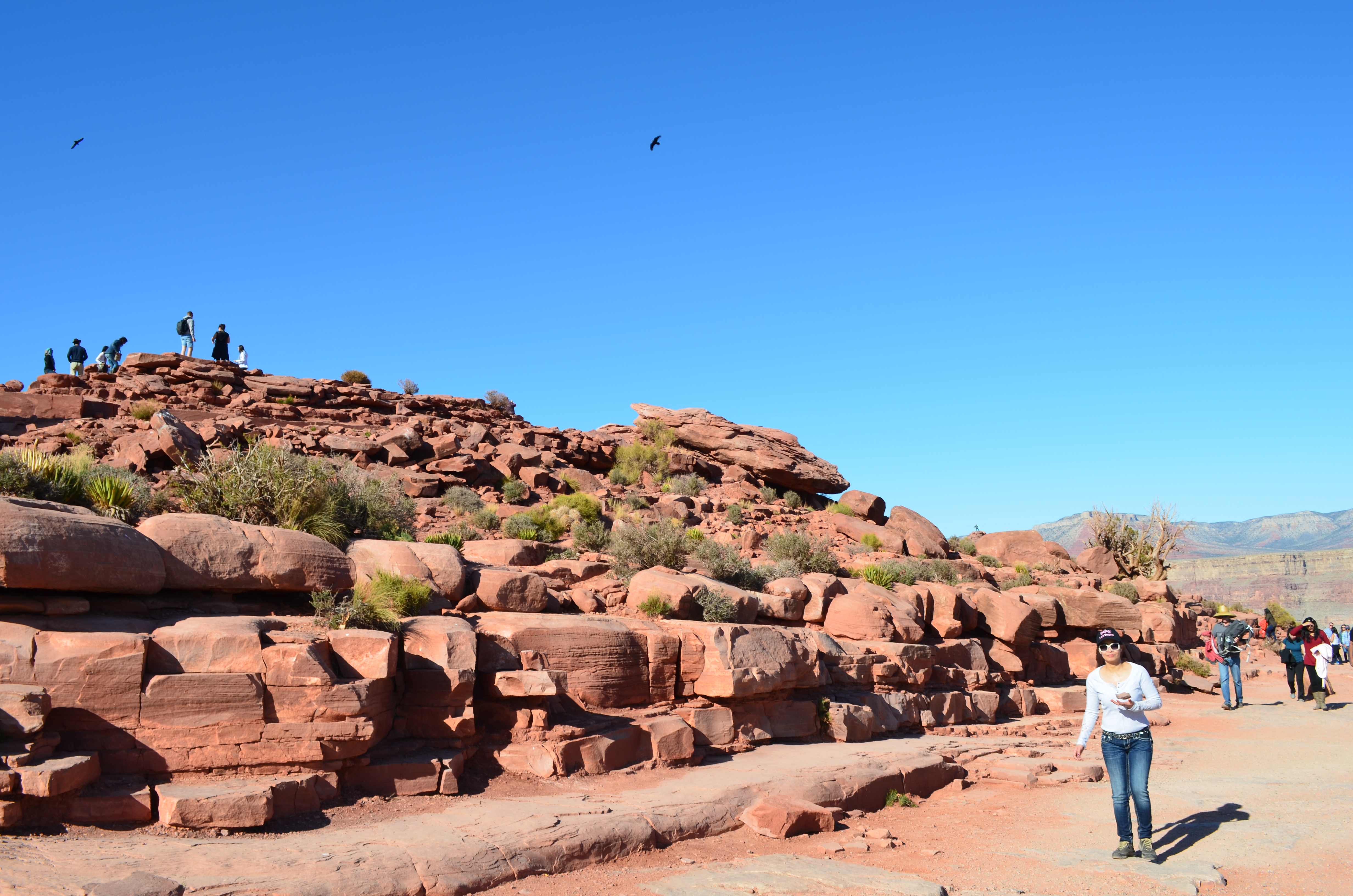 ./2016/04 - Las Vegas/Grand Canyon Skywalk/DSC_0297.JPG